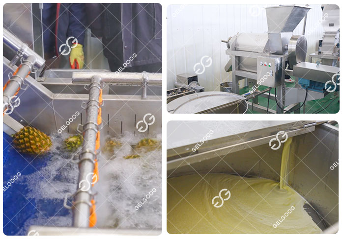 Pineapple Juice Production Line
